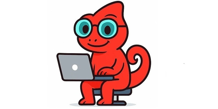 Web agency Red Chameleon specialises in website development.