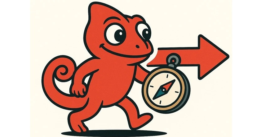 Website Development Website Development at Red Chameleon Digital Agency - Slovenia, Maribor