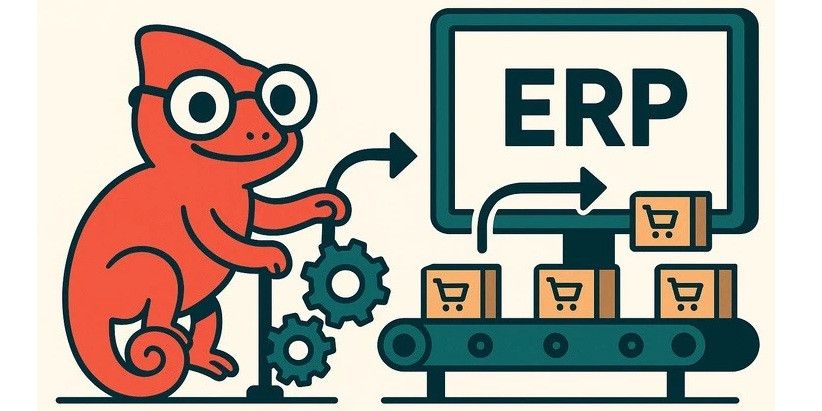 E-commerce Integration with ERP Systems Website Development at the Red Chameleon Digital Agency. E-commerce Integration with ERP Systems